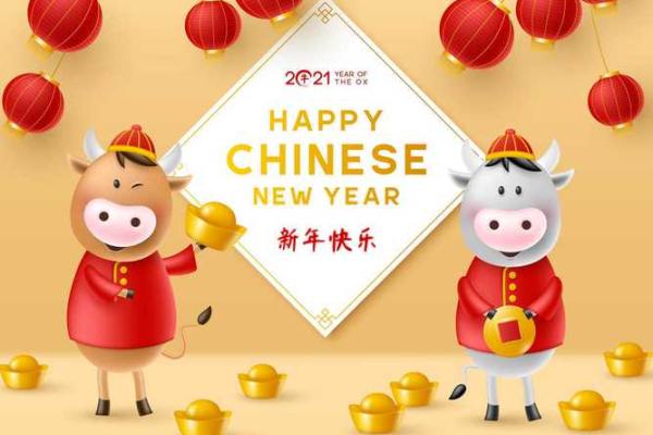 生肖猪与牛的性格搭配是否和谐