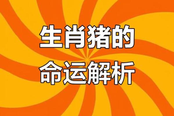 猪生肖运势大揭秘:今年的幸运与挑战 猪生肖运势大揭秘:今年的幸运与挑战