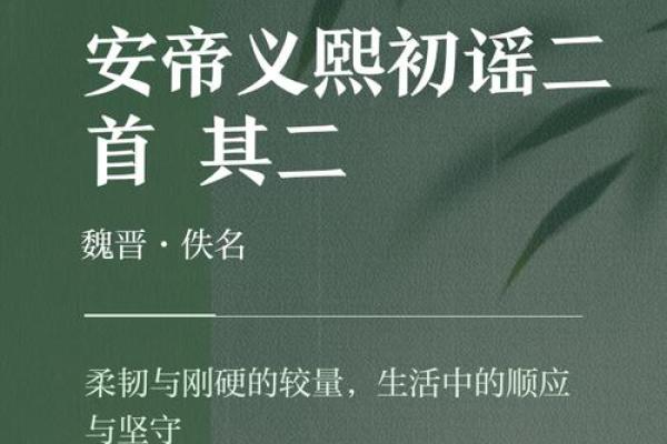 硬命的定义与背后深意解析 硬命的定义与背后深意解析