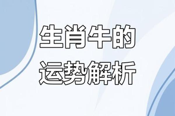 牛人运势全景解析:如何掌握关键机会 牛人运势全景解析:如何掌握关键机会