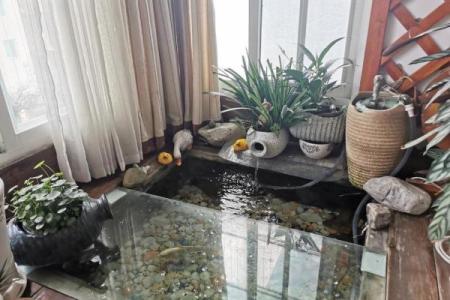 水池风水布局对家居健康与财富的影响