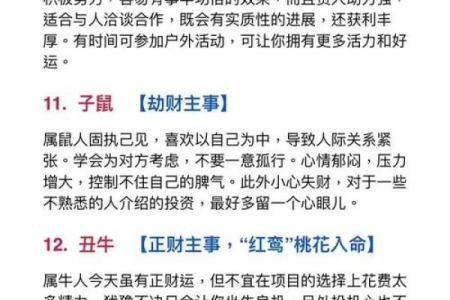 壬午年运势大揭秘：生肖马如何把握流年财运