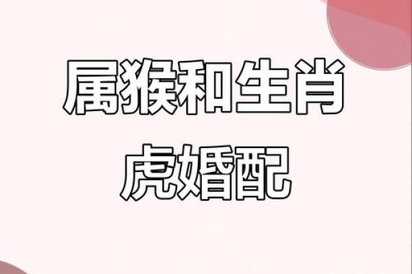 生肖匹配:属猴男与属马女的爱情前景 生肖匹配:属猴男与属马女的爱情前景