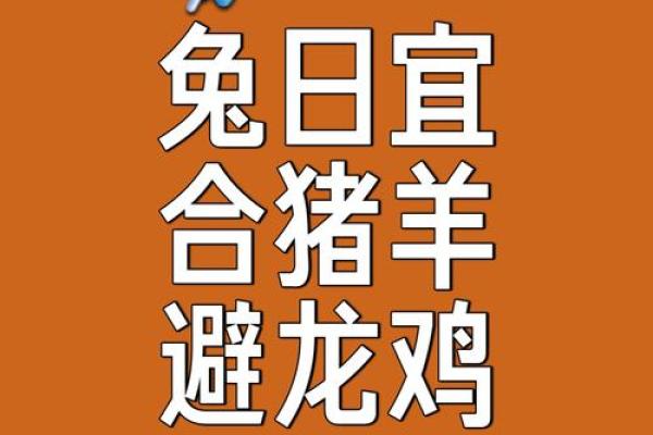 属羊与属猪的缘分如何？