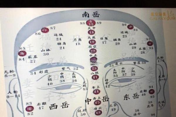 黄渤八字解析:揭开他背后不为人知的命运密码 黄渤八字解析:揭开他背后不为人知的命运密码