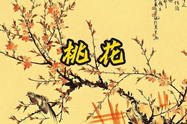 如何根据八字来分析自己的桃花运 如何根据八字来分析自己的桃花运