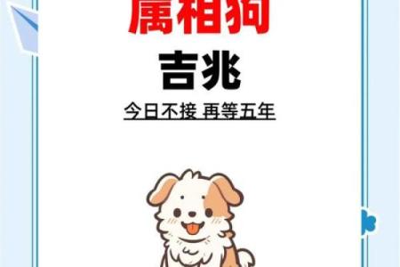 属狗人的事业与财运运势，必知