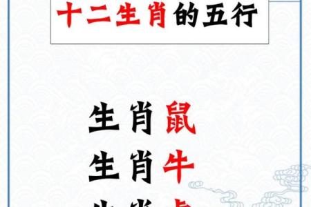 解密虎与鼠的婚姻关系，是否能在差异中找到平衡