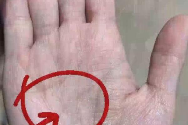 分析手型特征,如何通过手掌判断是否富贵命 分析手型特征,如何通过手掌判断是否富贵命