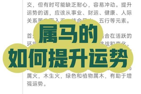 本命年属马适合做哪些投资 本命年属马适合做哪些投资