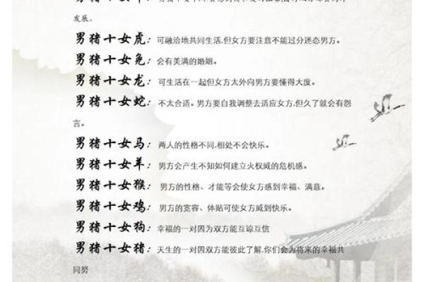属羊与属猪的性格契合度探讨 属羊与属猪的性格契合度探讨