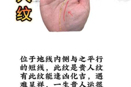 分析手型特征，如何通过手掌判断是否富贵命
