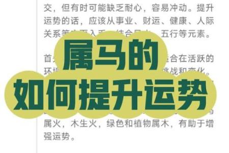 本命年属马适合做哪些投资