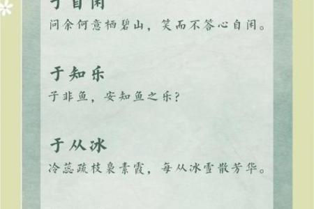 如何选择一个既有寓意又容易记的名字