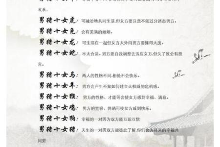 属羊与属猪的性格契合度探讨