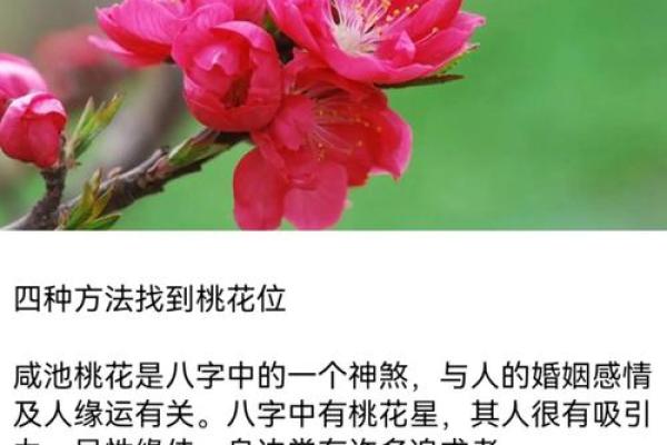 桃花运旺的八字特点与应对方法 桃花运旺的八字特点与应对方法
