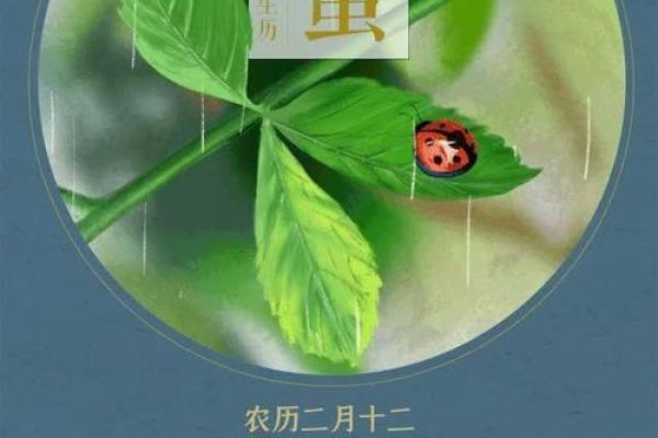 农历日历全面解析,助你掌握传统节气 农历日历全面解析,助你掌握传统节气