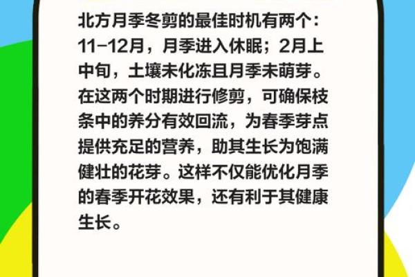 冬月是农历几月?一文带你快速搞懂 冬月是农历几月?一文带你快速搞懂