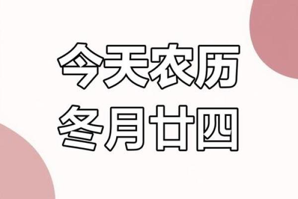 冬月是农历几月?一文带你快速搞懂 冬月是农历几月?一文带你快速搞懂