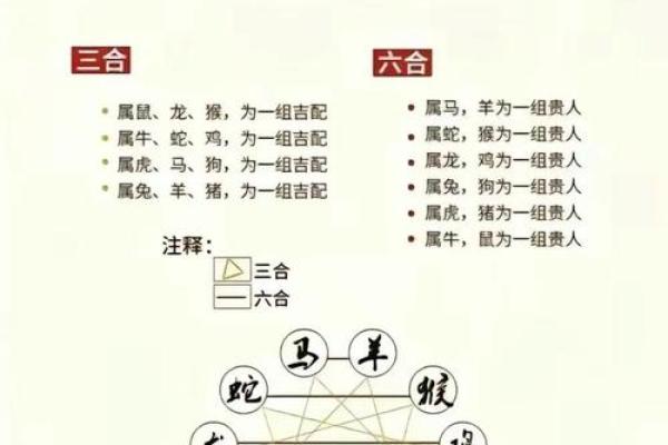属猴运势吉凶全解,如何化解不利因素 属猴运势吉凶全解,如何化解不利因素