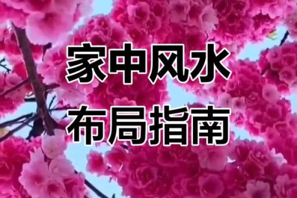 家居风水策划指南 提升居住环境的运势与舒适度 家居风水策划指南 提升居住环境的运势与舒适度