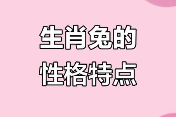男属兔女属兔是否天作之合 情感分析与建议 男属兔女属兔是否天作之合 情感分析与建议