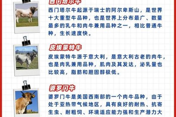 牛与牛的爱情能否长久?看看专家怎么说 牛与牛的爱情能否长久?看看专家怎么说