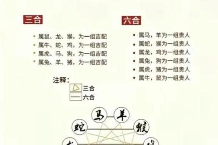属猴运势吉凶全解，如何化解不利因素