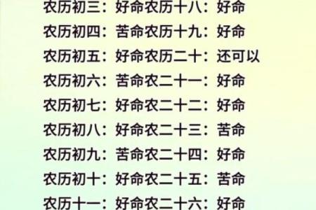 至什么命的深层含义与解读