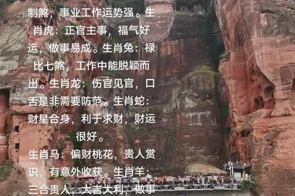八字与生肖的深度结合:了解你一生的运势变化 八字与生肖的深度结合:了解你一生的运势变化