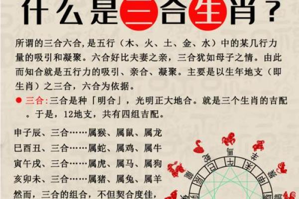 属马和属牛相配吗?探索两者性格互补与挑战 属马和属牛相配吗?探索两者性格互补与挑战