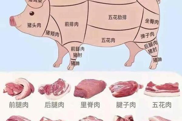 五行学说中的食物肉类如何影响你的健康? 五行学说中的食物肉类如何影响你的健康?