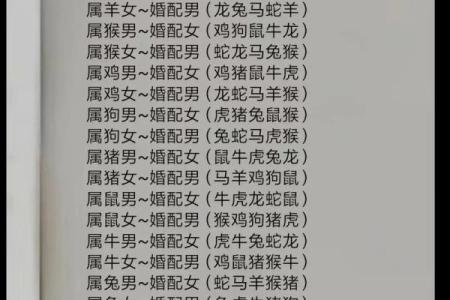 从性格到命运：鸡女虎男是否相配