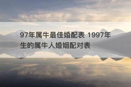 猪牛婚配适合吗？性格和谐度探讨