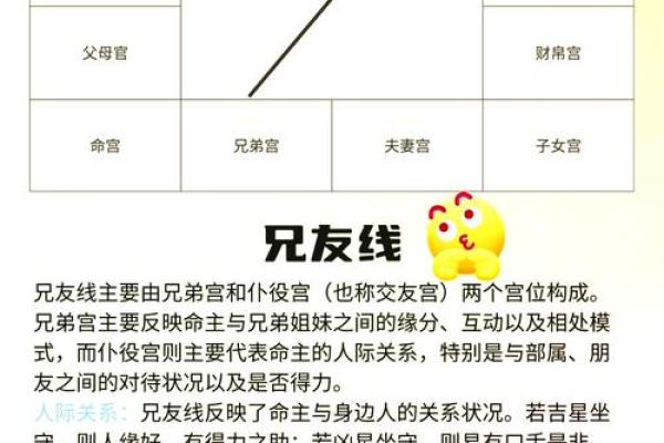 八字命理中紫薇星的深层意义,揭开命运的秘密 八字命理中紫薇星的深层意义,揭开命运的秘密