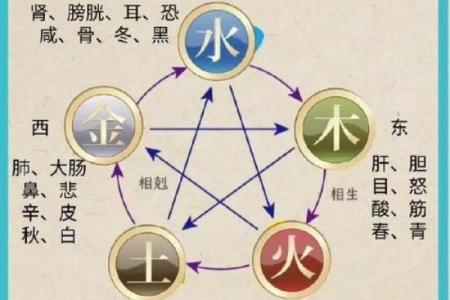 毛发与五行关系解析：如何通过五行调理头发健康