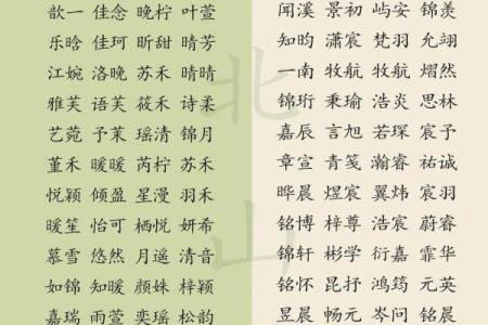 用圣经智慧为宝宝起名：展现信仰与美德的名字选择