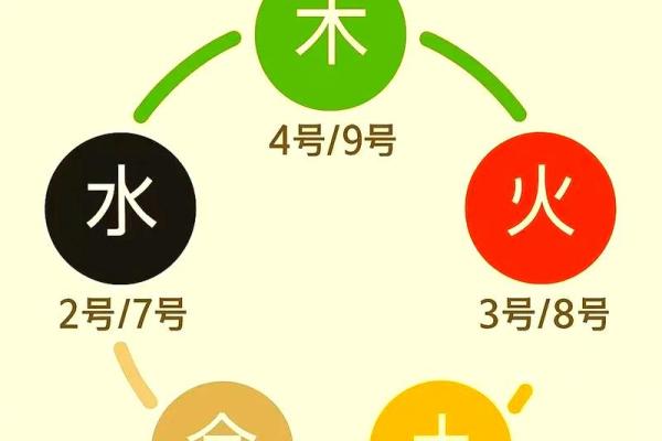 五行分数高低揭示你的性格与命运走向 五行分数高低揭示你的性格与命运走向