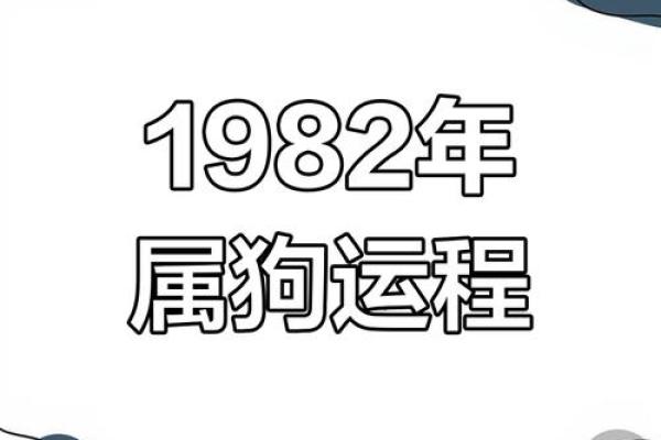 属狗人运程起伏与应对策略 属狗人运程起伏与应对策略