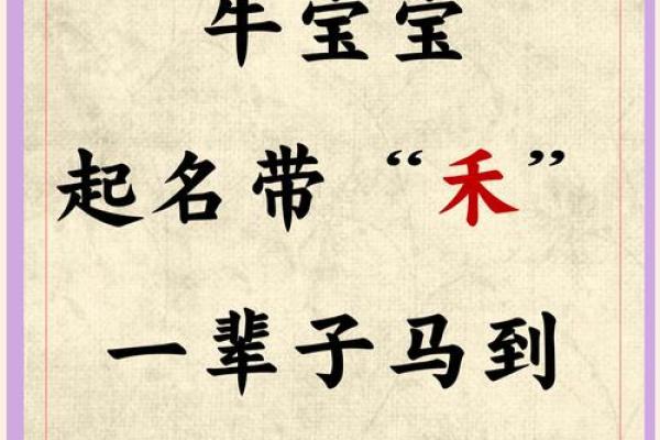牛年宝宝起名灵感：从传统到现代