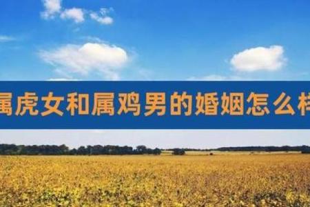 属羊女与属虎男的婚姻是否幸福