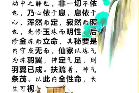 仙家名字大全：取名灵感与寓意解析