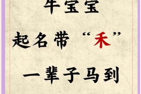 牛年宝宝起名灵感：从传统到现代