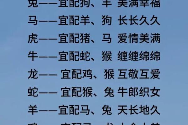 男狗女鸡婚姻是否合适?了解生肖配对的深层次影响 男狗女鸡婚姻是否合适?了解生肖配对的深层次影响