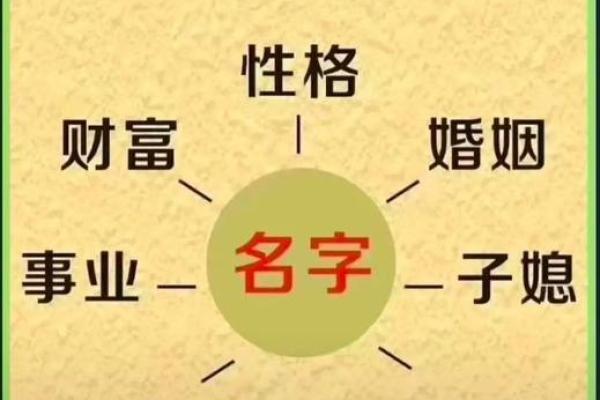 学会看生辰八字，了解自己未来的运势走向