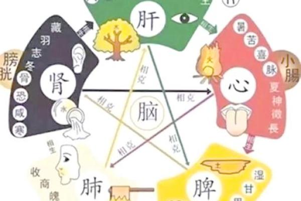 五行人测试:通过五行了解你的人生轨迹 五行人测试:通过五行了解你的人生轨迹