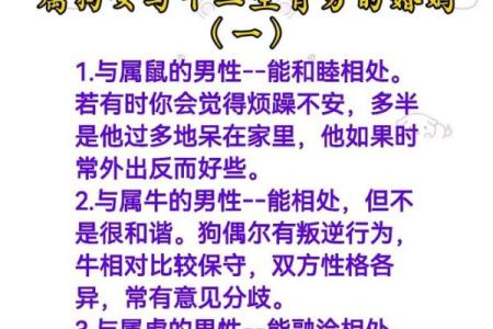 男狗女鸡婚姻是否合适？了解生肖配对的深层次影响