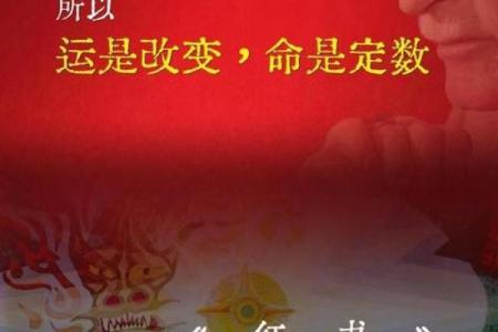 走进命运的世界：如何看待自己的人生轨迹