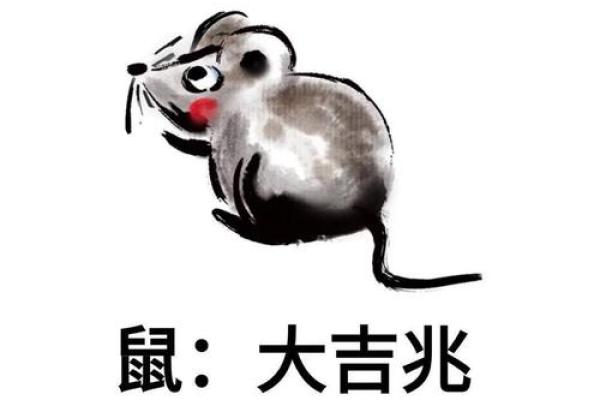 老鼠入办公室风水警示与化解指南