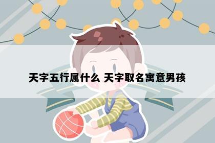 天字五行属什么 天字取名寓意男孩
